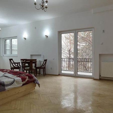 Central Appartment - Heart Of Bucharest - Sector 1 - New Renovated - Open Space Kültér fotó