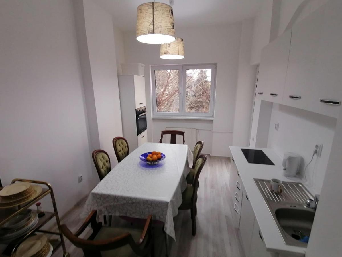 Central Appartment - Heart Of Bucharest - Sector 1 - New Renovated - Open Space Kültér fotó