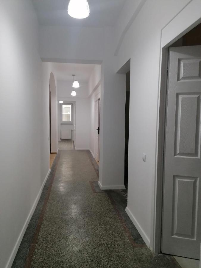 Central Appartment - Heart Of Bucharest - Sector 1 - New Renovated - Open Space Kültér fotó