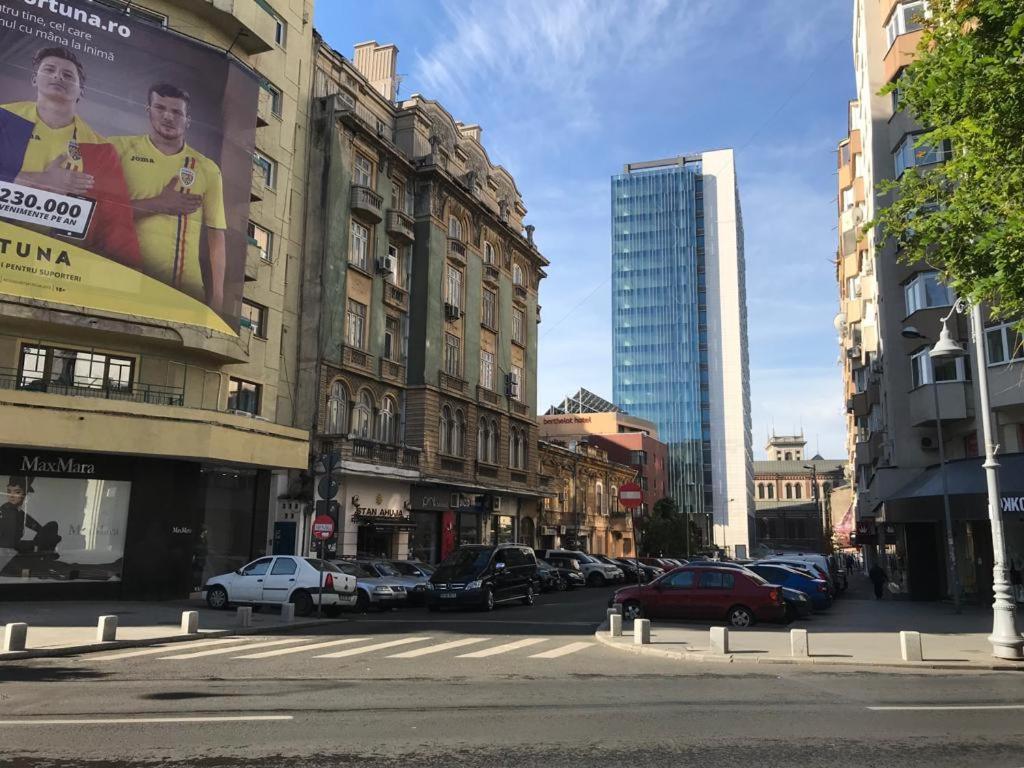 Central Appartment - Heart Of Bucharest - Sector 1 - New Renovated - Open Space Kültér fotó