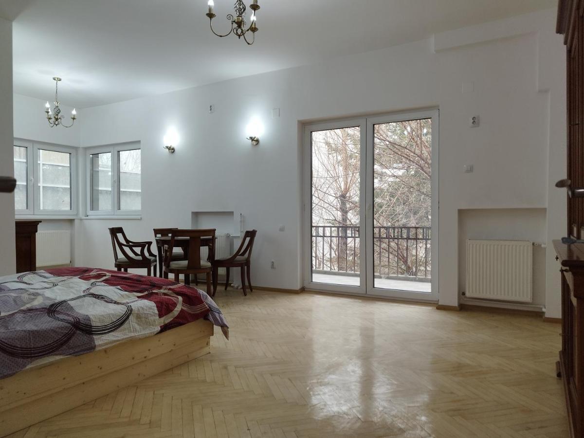 Central Appartment - Heart Of Bucharest - Sector 1 - New Renovated - Open Space Kültér fotó