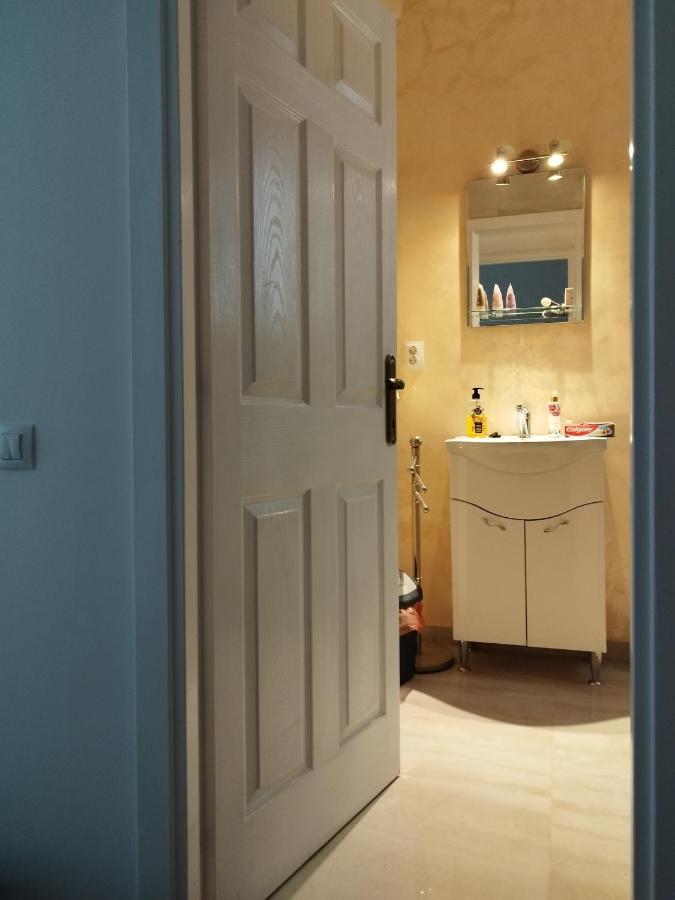Central Appartment - Heart Of Bucharest - Sector 1 - New Renovated - Open Space Kültér fotó