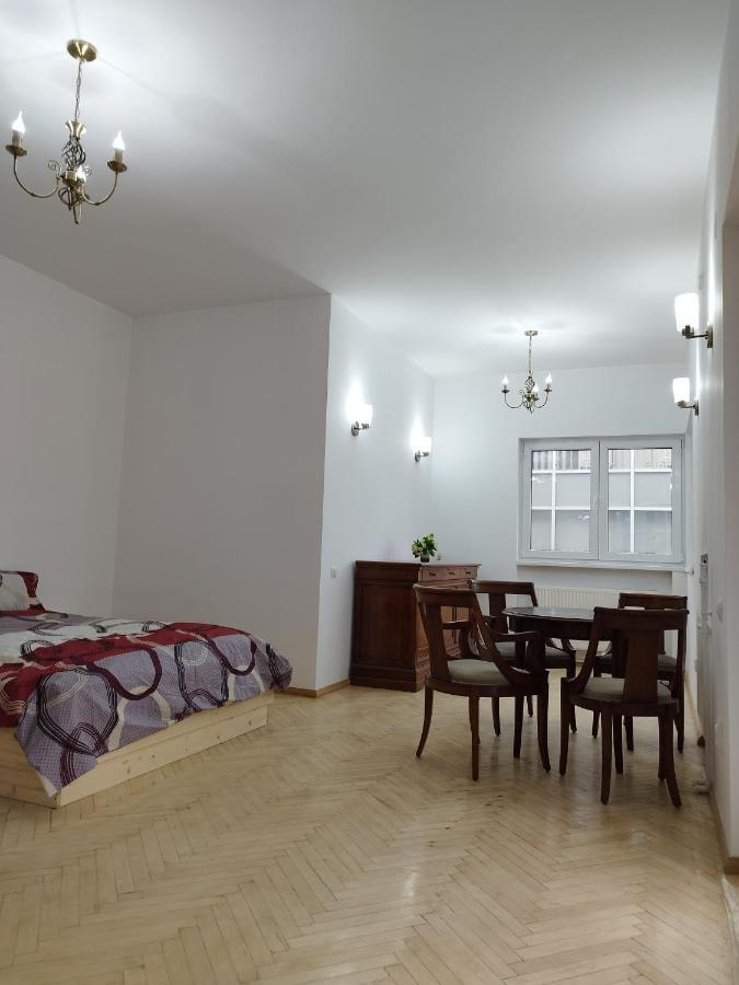 Central Appartment - Heart Of Bucharest - Sector 1 - New Renovated - Open Space Kültér fotó