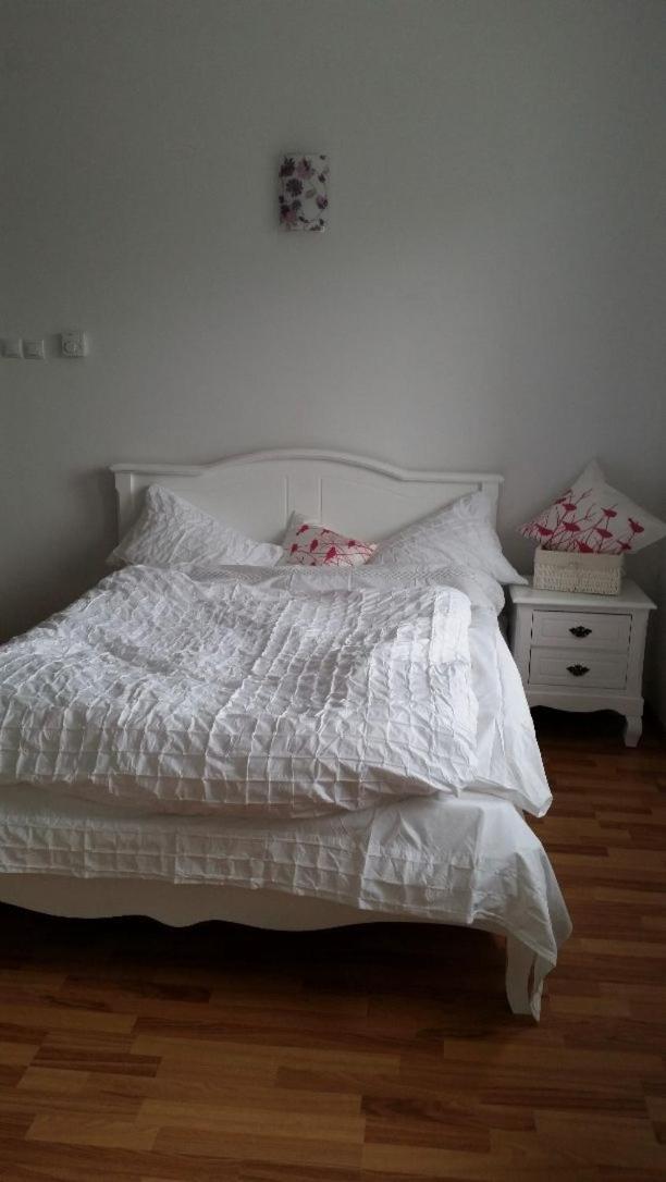 Central Appartment - Heart Of Bucharest - Sector 1 - New Renovated - Open Space Kültér fotó